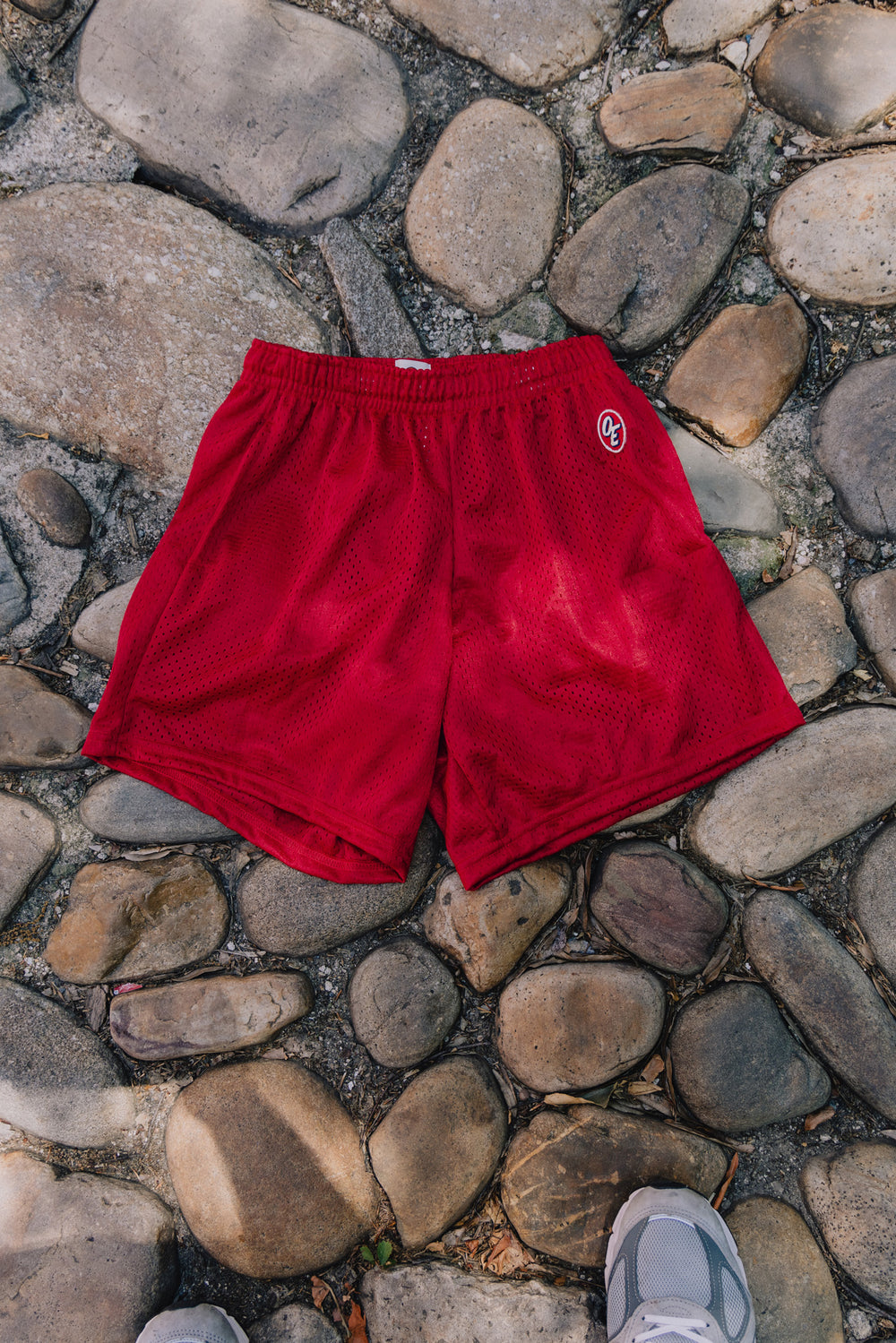 Champion Velvet Shorts buy